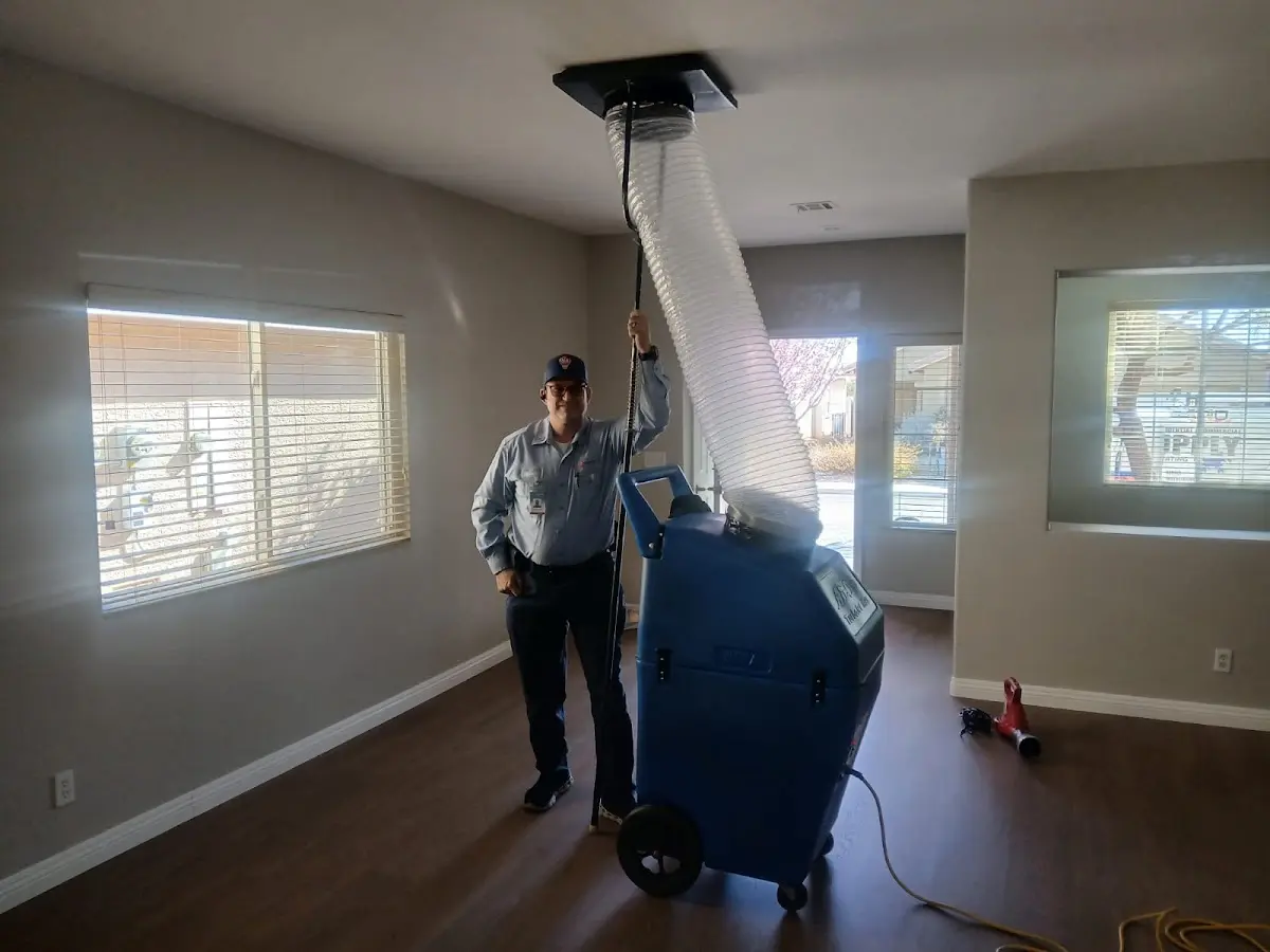 Professional Dryer Vent Cleaning work inside a Westville home
